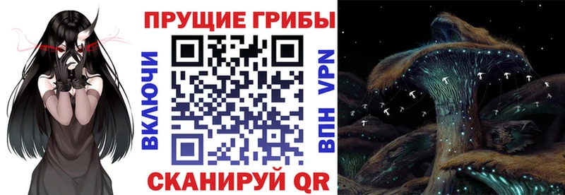кракен как зайти  Уяр  Псилоцибиновые грибы ЛСД 